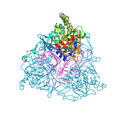 BU of 2hmj by Molmil