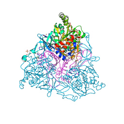 BU of 2hml by Molmil