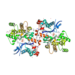 BU of 2hmp by Molmil