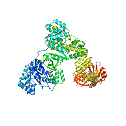 BU of 2hpi by Molmil