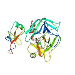 BU of 2hpp by Molmil