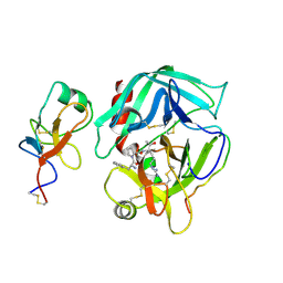 BU of 2hpq by Molmil