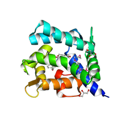 BU of 2hps by Molmil