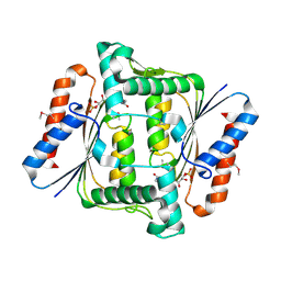 BU of 2hpv by Molmil