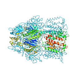 BU of 2hqc by Molmil