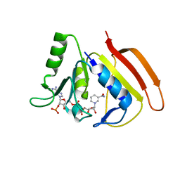 BU of 2hqp by Molmil