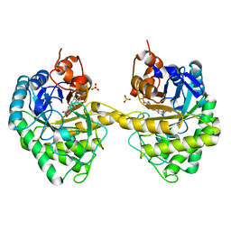 BU of 2hsa by Molmil