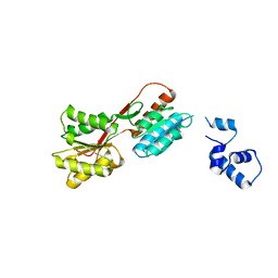 BU of 2hsg by Molmil