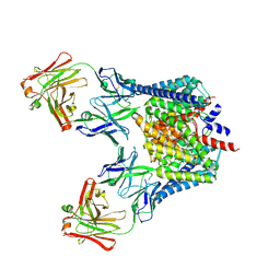 T2kページ PE Mouse Anti-Mouse CD45.2