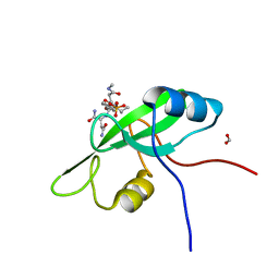 AU of 2huy by Molmil