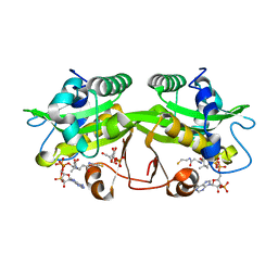 AU of 2hv0 by Molmil