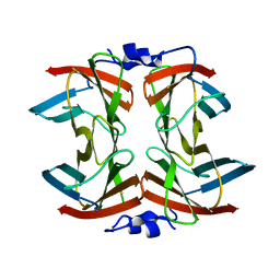 BU of 2hvb by Molmil