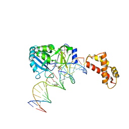 BU of 2hvs by Molmil