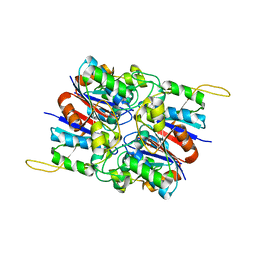 BU of 2hyb by Molmil