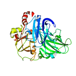 BU of 2hzh by Molmil