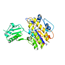 AU of 2i09 by Molmil