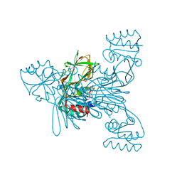 BU of 2i2a by Molmil