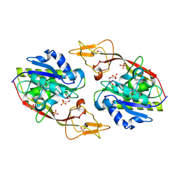 BU of 2i3c by Molmil