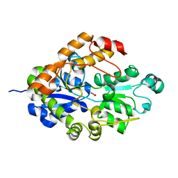 BU of 2i4b by Molmil