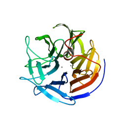 BU of 2ias by Molmil