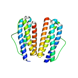 BU of 2ib0 by Molmil