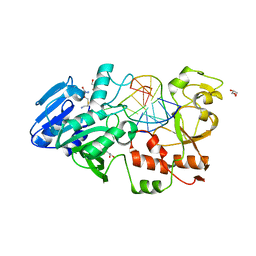 BU of 2ibt by Molmil