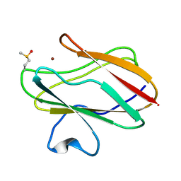 BU of 2idt by Molmil