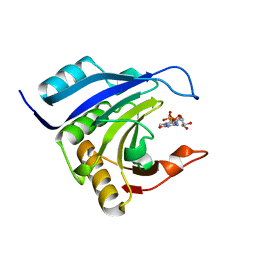 BU of 2idv by Molmil