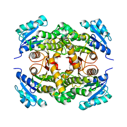 BU of 2ied by Molmil