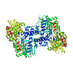 BU of 2ieg by Molmil