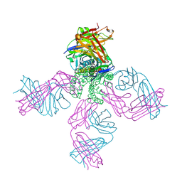 BU of 2ih1 by Molmil