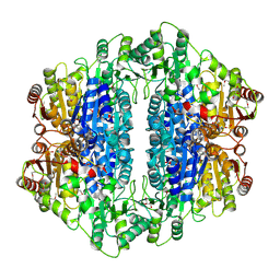 BU of 2iht by Molmil