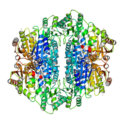 BU of 2ihv by Molmil