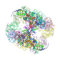 BU of 2ihw by Molmil