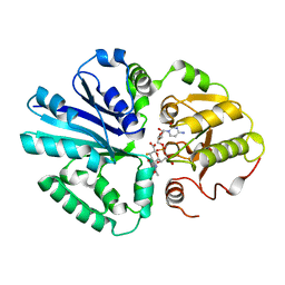 BU of 2ihz by Molmil