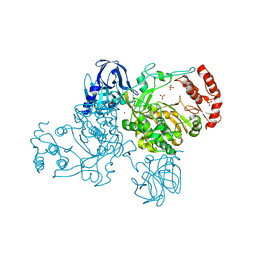 BU of 2ijd by Molmil