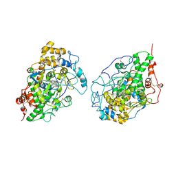 BU of 2ikc by Molmil