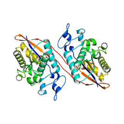 BU of 2ikq by Molmil