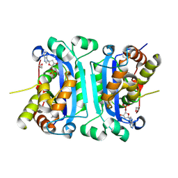 BU of 2ioc by Molmil