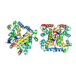 AU of 2ipb by Molmil