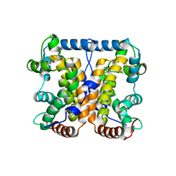 BU of 2ipb by Molmil