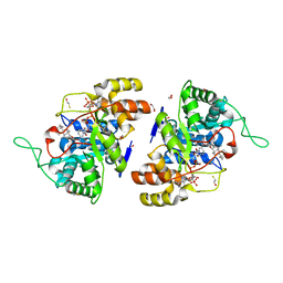 BU of 2ipf by Molmil