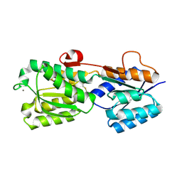 BU of 2ipm by Molmil