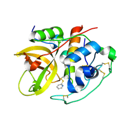 BU of 2ipp by Molmil