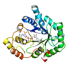 BU of 2ipw by Molmil