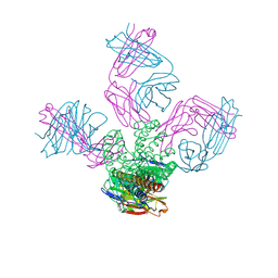 BU of 2itc by Molmil