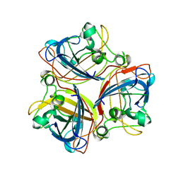 BU of 2ium by Molmil