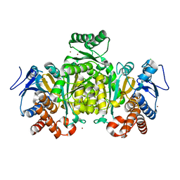 BU of 2iv0 by Molmil