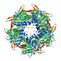 BU of 2iv1 by Molmil