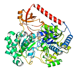 BU of 2iv2 by Molmil